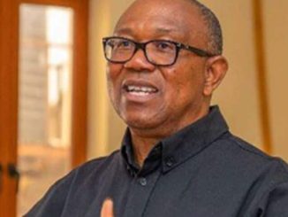 A leader's job is not to complain – Peter Obi