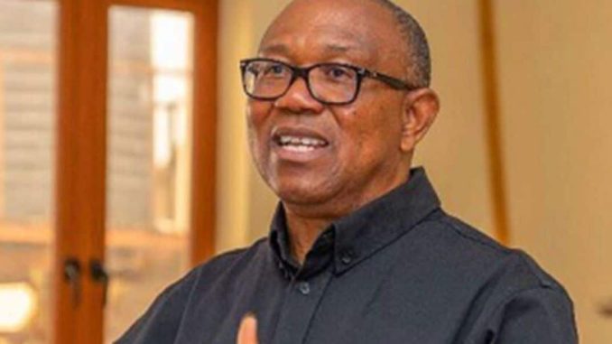 A leader's job is not to complain – Peter Obi