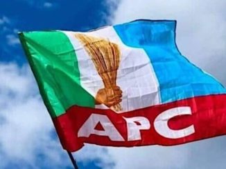 We Will Participate In Enugu Council Election - APC