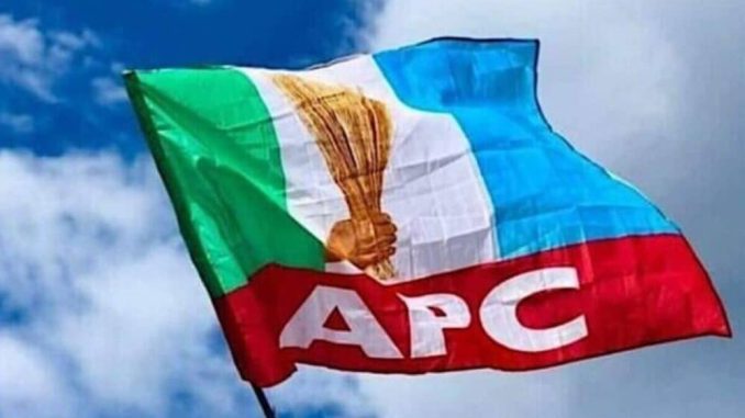 We Will Participate In Enugu Council Election - APC