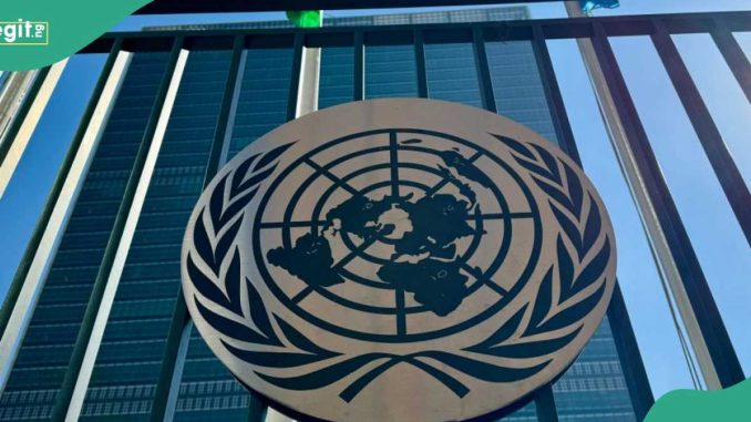 Apply Now: United Nations Announces Job Vacancy in Nigeria