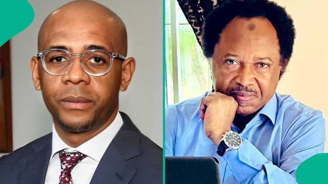 Baltasar Engonga: Shehu Sani Mentions What Would Happen If Equatorial Guinea Man Had Nigerian Parent