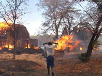 Bandits Invade Farms In Kaduna, Set Over 200 Bags Of Harvested Maize Ablaze