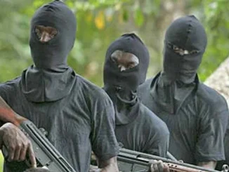 Bandits kill 10 persons in Niger community