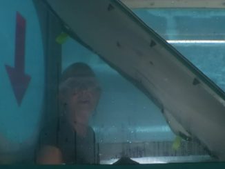 Brave I'm A Celebrity star Jane Moore praised by Ant and Dec after dramatic underwater Bushtucker Trial