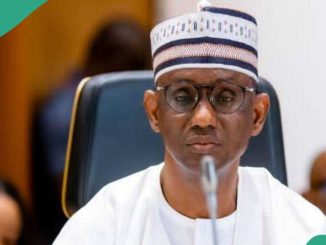 Buhari’s Minister Sends Message to Ribadu as Tinubu’s Govt Charges Minors With Treason