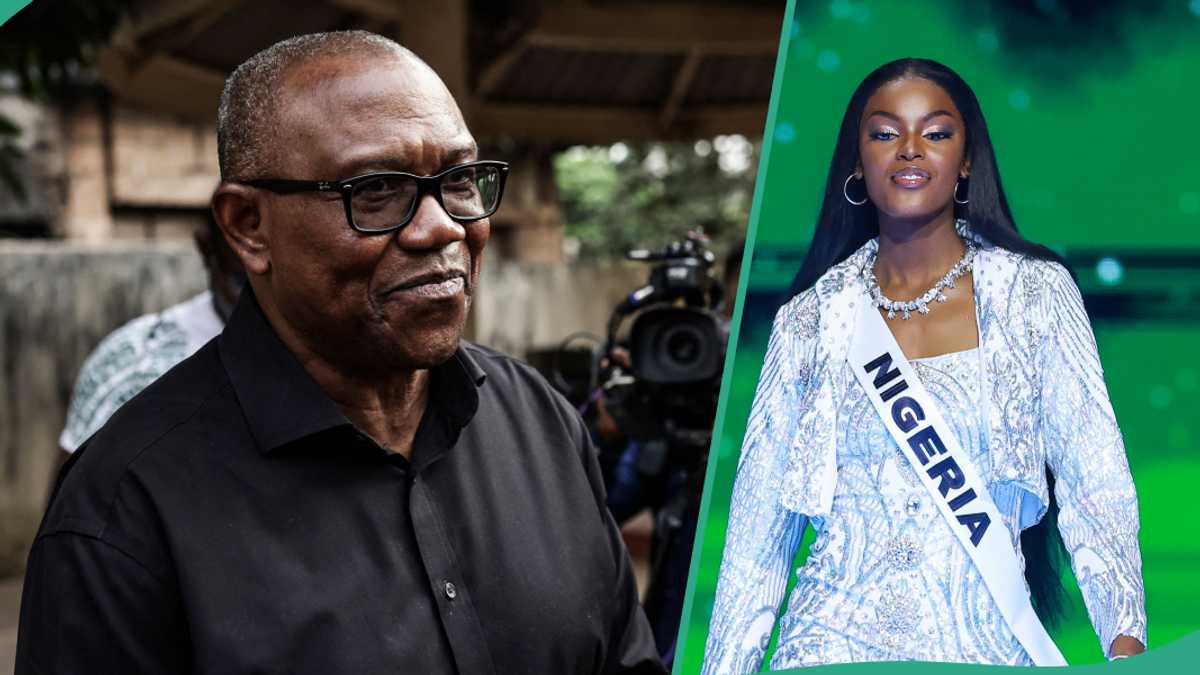 Chidimma Adetshina: Peter Obi Reacts as Nigerian Emerges Miss Universe 2024 First Runner up