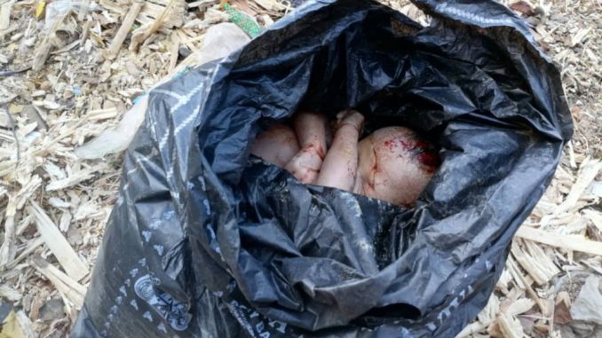 Day-old Baby Found Dead In Bauchi Refuse Dump