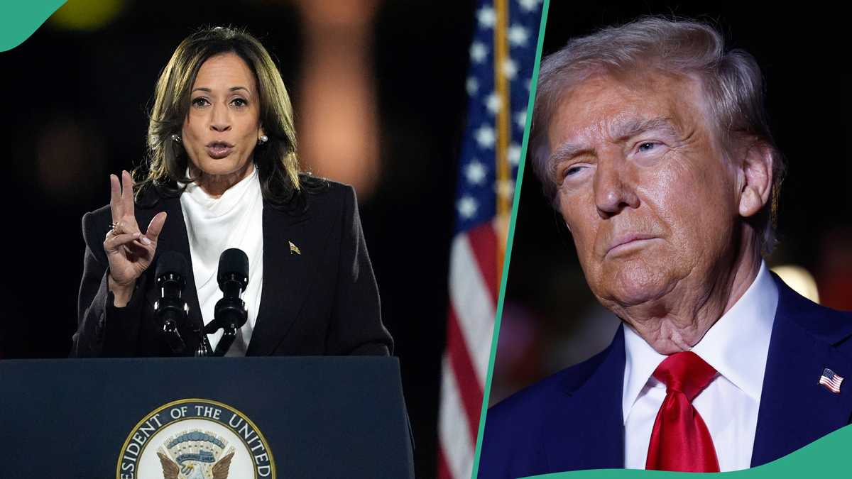 Donald Trump or Kamala Harris: Lawyer Predicts Possible Winner, Gives Reason