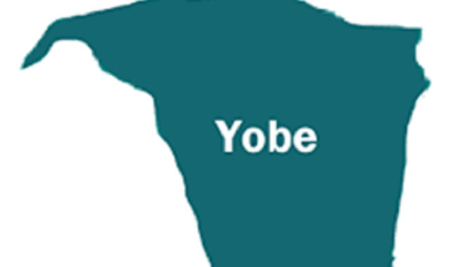 Farmers Urge Yobe Gov’t To Protect Communities Threatened By Herders