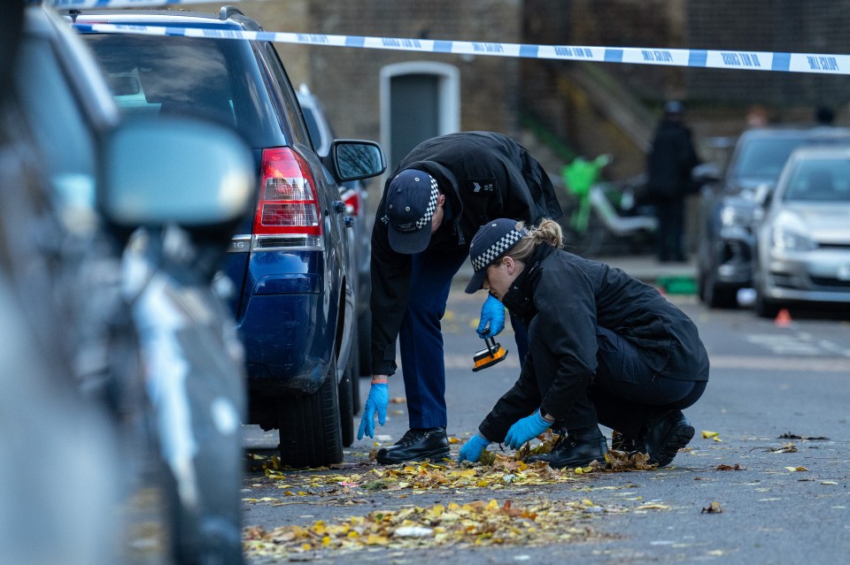 Cops combing the area for clues