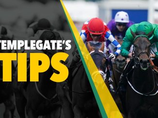 Horse racing tips: Templegate's NAP looks well-handicapped and will be hard to beat under Harry Cobden