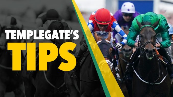 Horse racing tips: Templegate's NAP looks well-handicapped and will be hard to beat under Harry Cobden