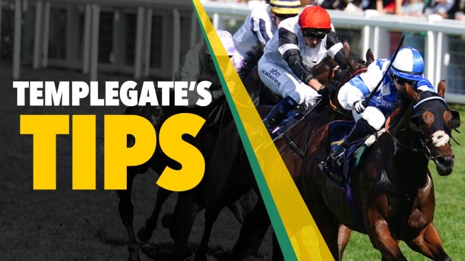 Horse racing tips: Templegate's NAP was one of the brightest stars of last season and she can strike at Cheltenham again