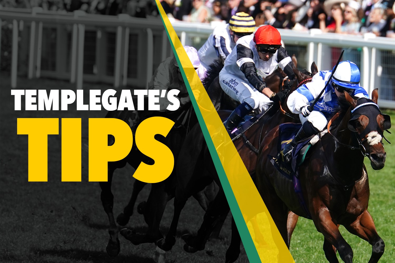 Horse racing tips: Templegate's NAP was one of the brightest stars of last season and she can strike at Cheltenham again