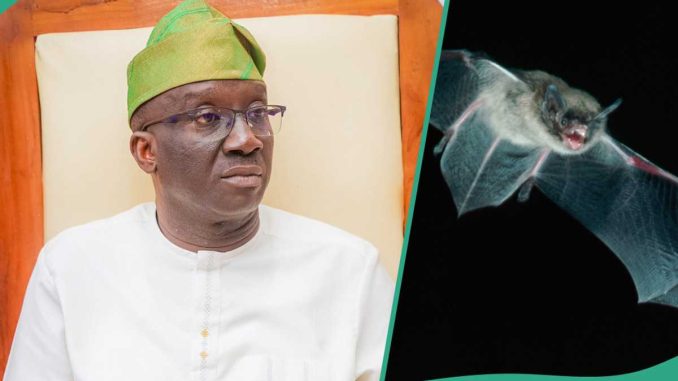 "I Met a Dead Bat on My Bed," Governor Okpebholo Shares How He Won Edo Election