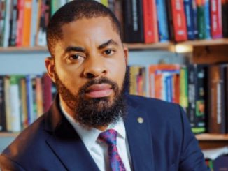 US Election: “INEC can still change results for Kamala Harris” — Deji Adeyanju