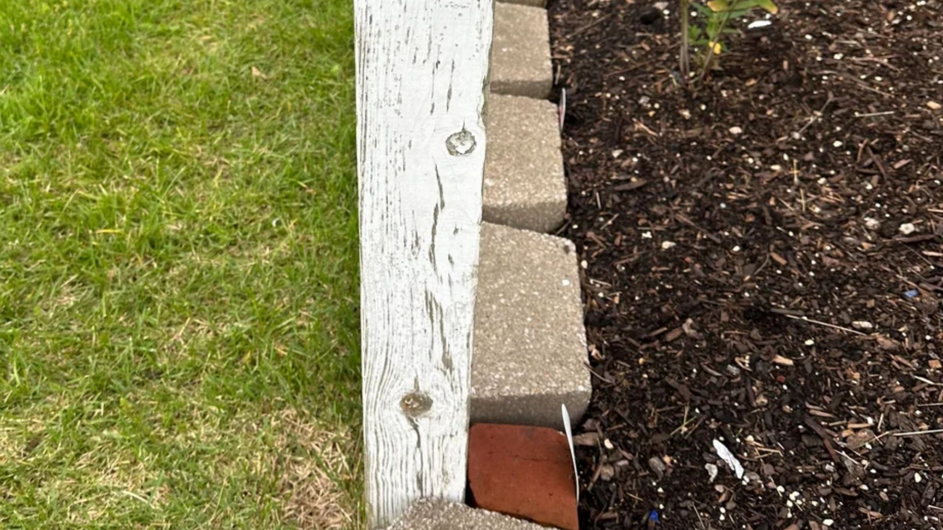 I’m going to war with my nasty Karen neighbour - she built a plant garden on my property line just to be petty