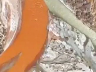 Incredible video shows China’s bizarre ‘half and half’ river where red and green waters flow but then don’t mix