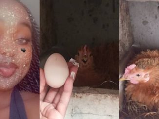 Lady celebrates on social media as her hen, Rihanna, lays first egg