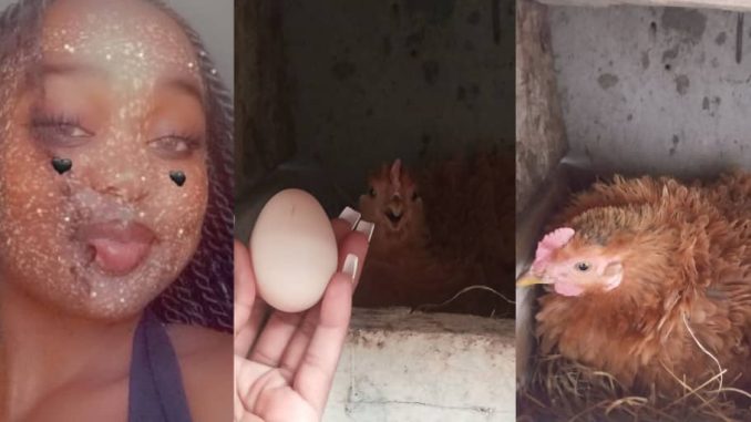 Lady celebrates on social media as her hen, Rihanna, lays first egg