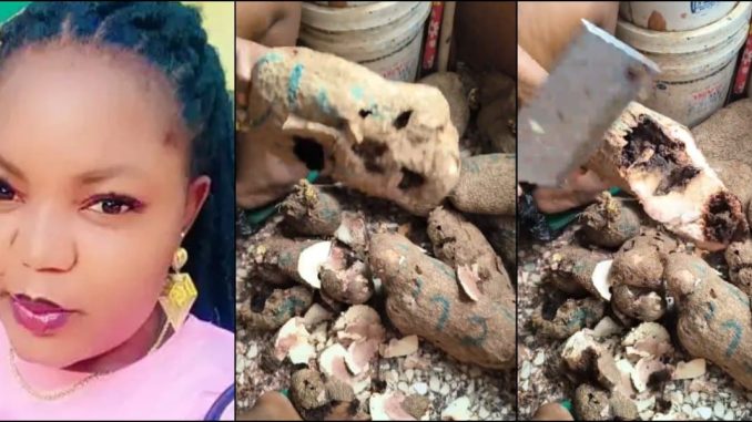 Lady cries out as she discovers that all yam she bought are rotten inside