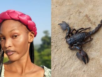 Lady narrowly escapes harm as scorpion falls from top of shower while bathing