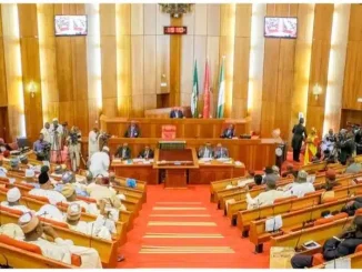 'There Was Another Budget That Was Done Underground' - Northern Senators To Meet Tinubu Over Alleged N3 Trillion 'Padding' In 2024 Budget