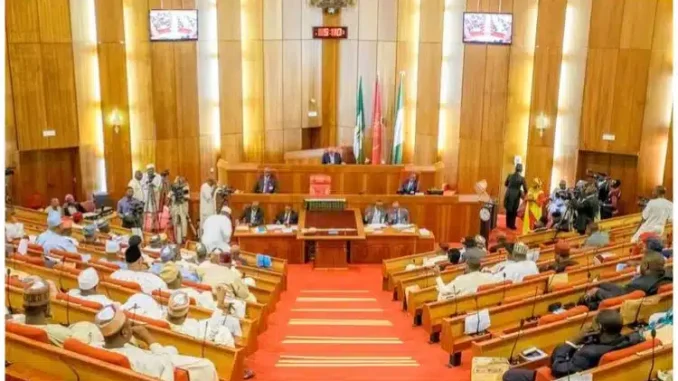 'There Was Another Budget That Was Done Underground' - Northern Senators To Meet Tinubu Over Alleged N3 Trillion 'Padding' In 2024 Budget