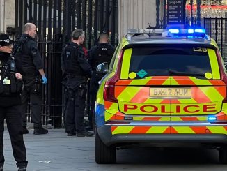 Man in suit of armour and carrying samurai swords demands to speak to Boris Johnson at Houses of Parliament