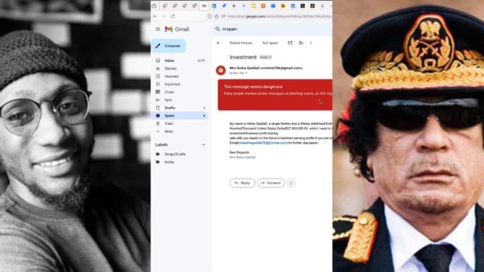 Man shocked as Gaddafi's alleged daughter set to entrust him with $27.5M for investment, shares screenshot