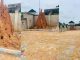 Mixed reactions as man preserves anthill in his compound, shares why