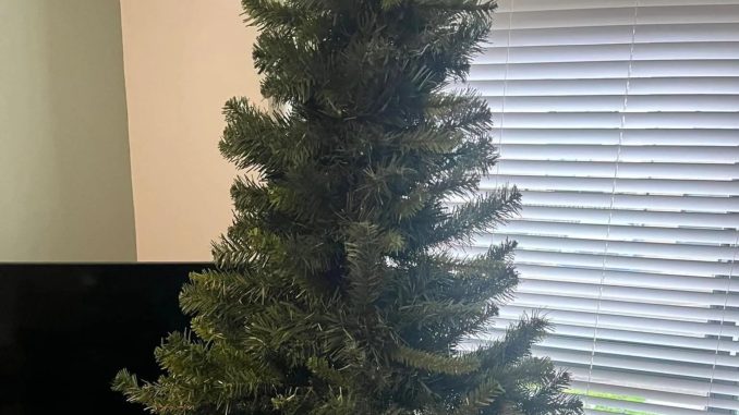 My Christmas tree was 'looking a bit sad' but a £2 Dunelm buy transformed it - people say it's such a good idea