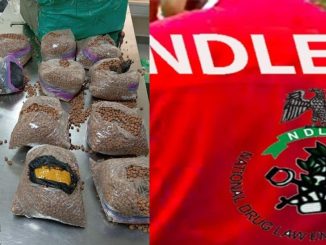 NDLEA uncovers UK-bound drugs hidden in tiger nuts, groundnut parcels