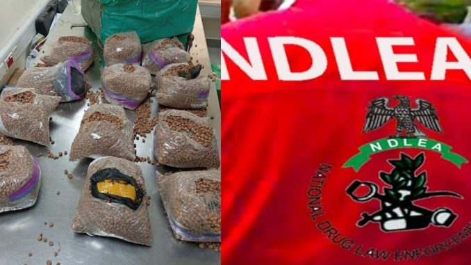 NDLEA uncovers UK-bound drugs hidden in tiger nuts, groundnut parcels