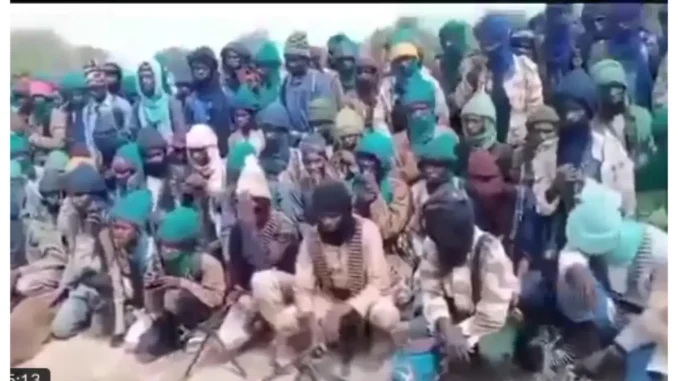 New terror group Lakurawa offers N1m incentives to recruit Sokoto youths [Video]