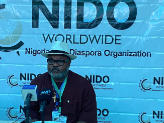 NiDO urges FG to establish diaspora board