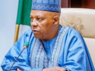 Shettima: Nigeria aims for Top 80 in human capital index