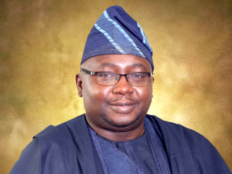 Power Minister, Adelabu breaks silence on air mishap