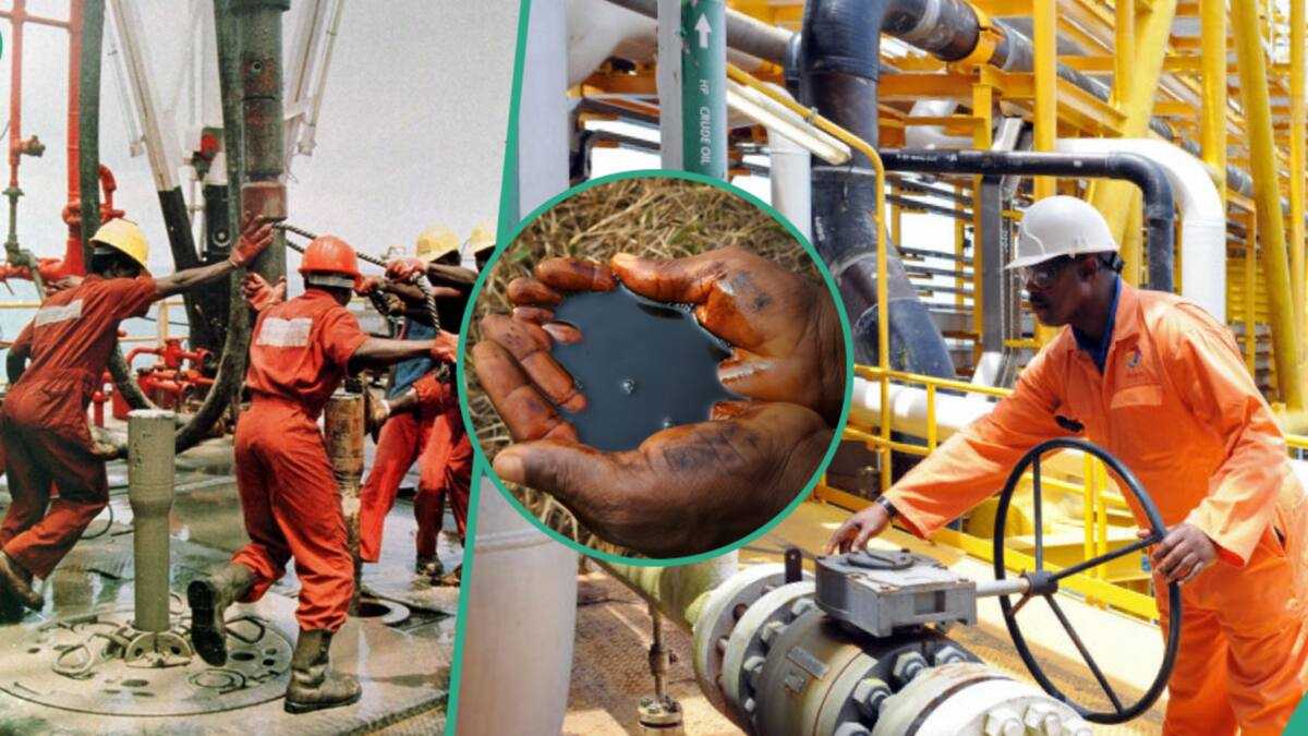 Nigeria’s Oil Reserves Decline by 50 Billion Barrels as FG Offers to Sell 31 New Blocks