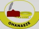 Ohanaeze Ndigbo Charges Federal Gov’t To Crush New Terror Group 