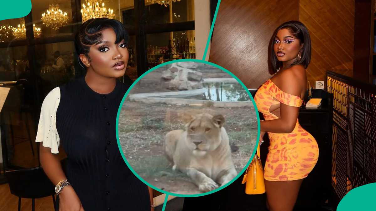 Papaya Ex Shares Video of Her Roommate Mufasa While on Vacation: "Why is Tunde Ednut Outside"