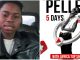 Peller commences five-day YouTube livestream