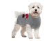 Pet owners go wild for cute Lidl buy that keeps your dog snuggly warm - and they’re only £3.99