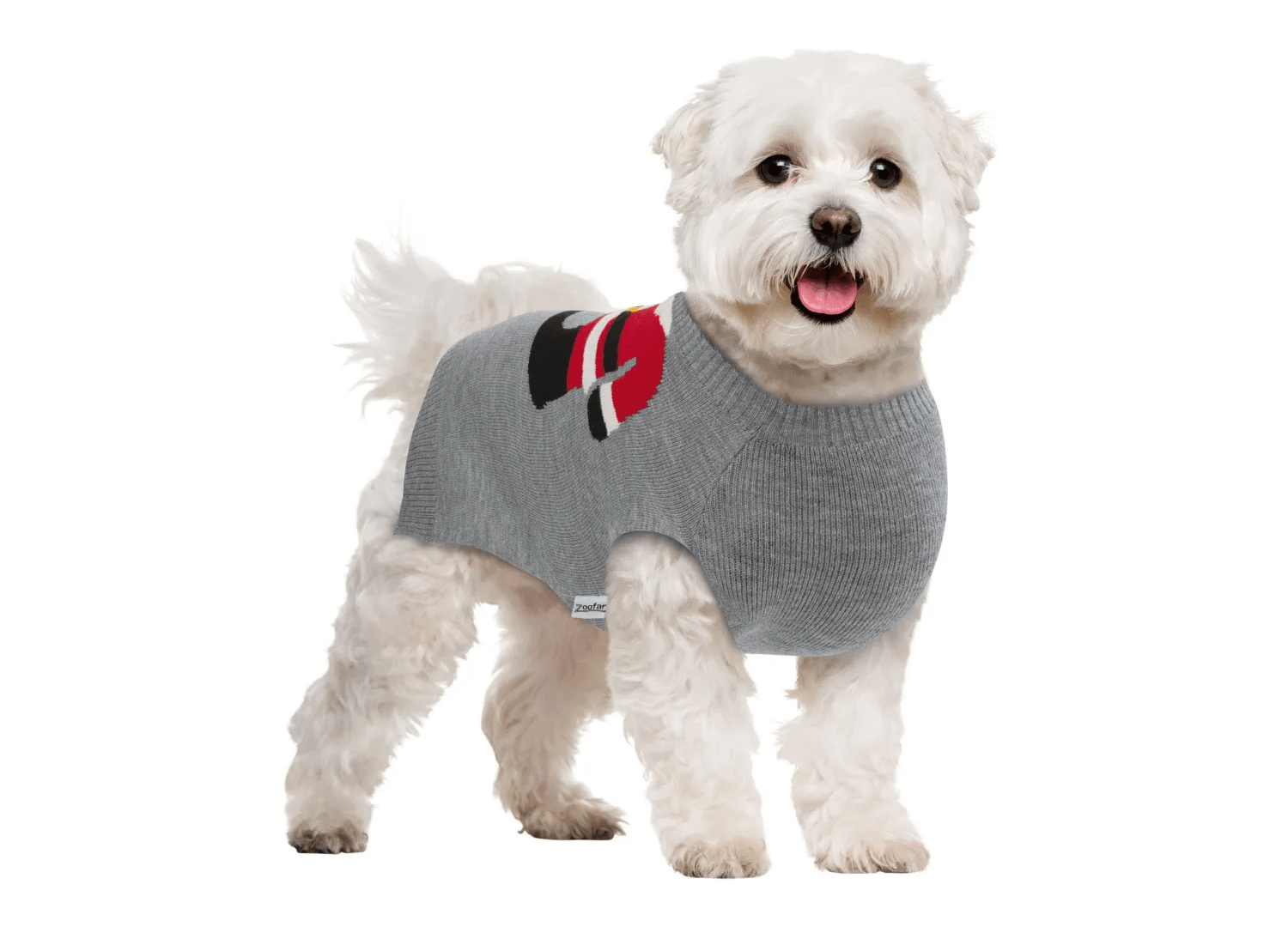 Pet owners go wild for cute Lidl buy that keeps your dog snuggly warm - and they’re only £3.99