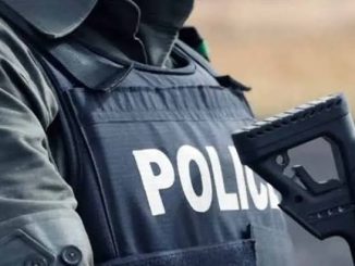 Police rescue 23 kidnap victims as gunmen kill driver in Niger