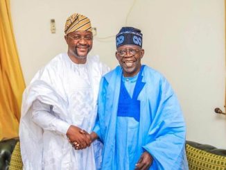 Tinubu's ₦1 Trillion Support For Households Must Be Saluted - Sunday Dare