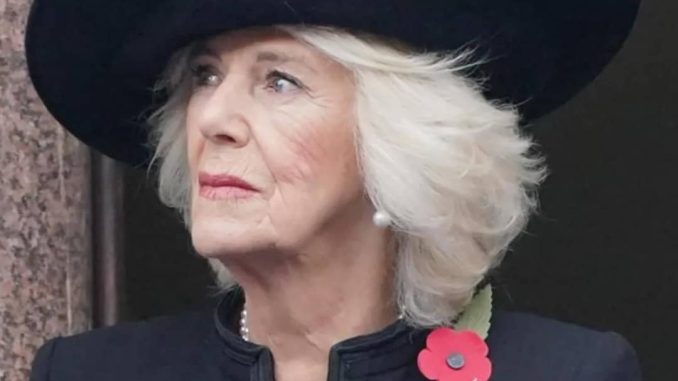 Queen Camilla To Miss Remembrance Events Over Infection