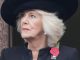 Queen Camilla To Miss Remembrance Events Over Infection