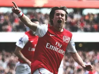 Rosicky, Mertesacker Linked With Arsenal’s Sporting Director’s Job